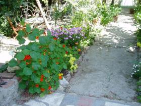 photo coins arrondis